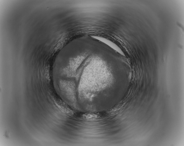 X0000096380512200802141434