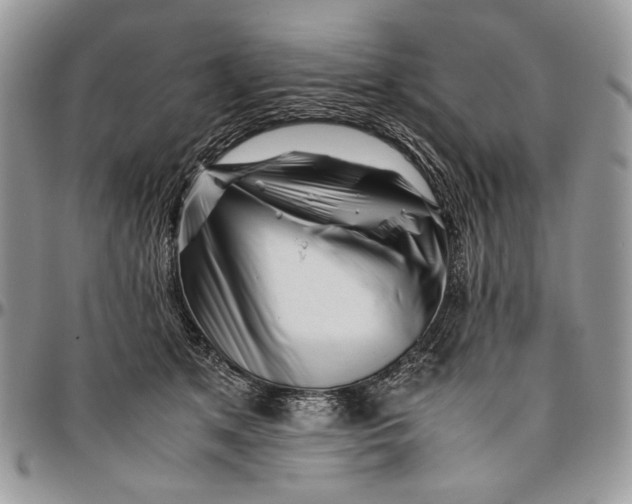 X0000096380513200802141434