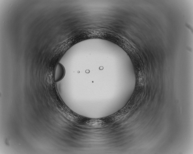 X0000096380514200802141434