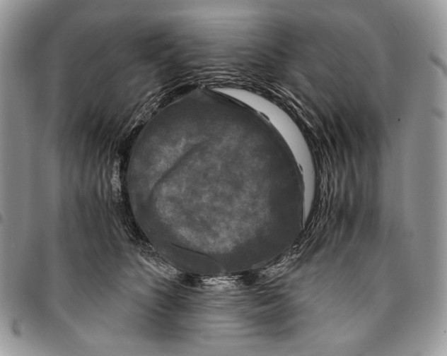 X0000096380516200802141434