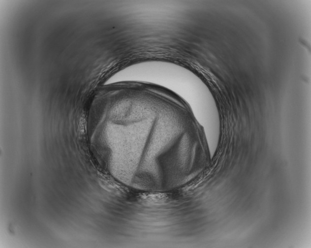 X0000096380517200802141434