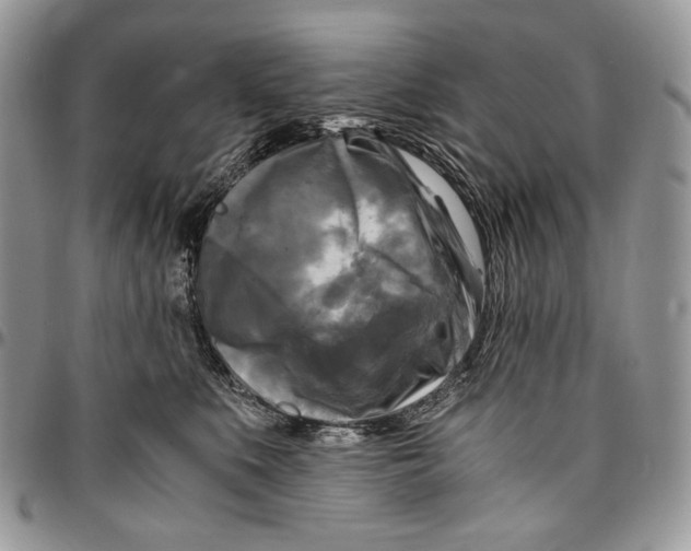 X0000096380519200802141434