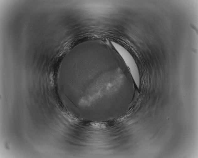 X0000096380520200802141434