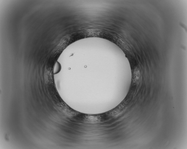 X0000096380522200802141434