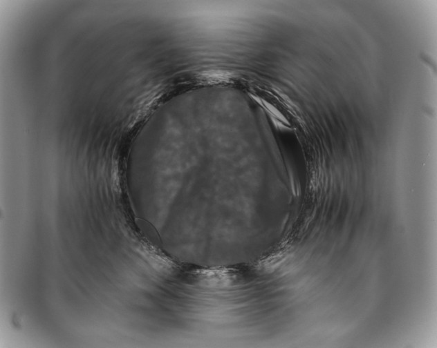 X0000096380524200802141434