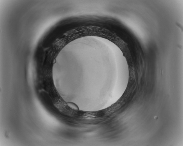 X0000096380526200802141434