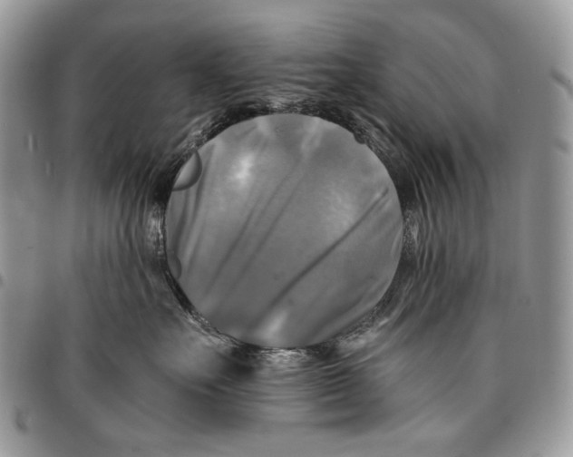 X0000096380527200802141434