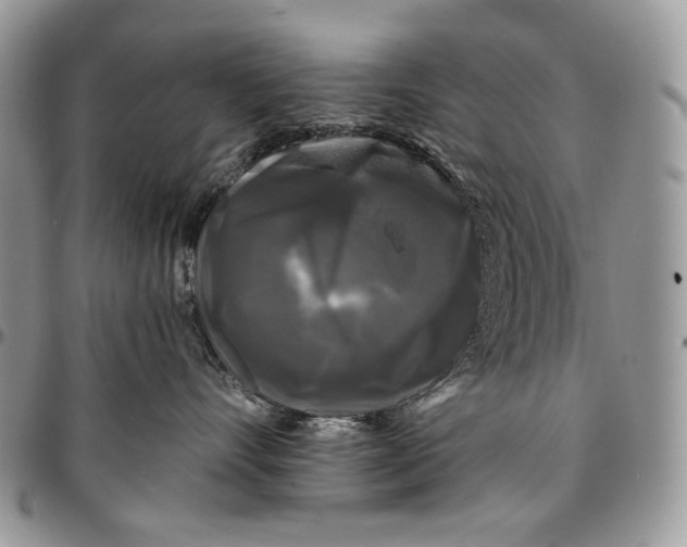 X0000096380528200802141434