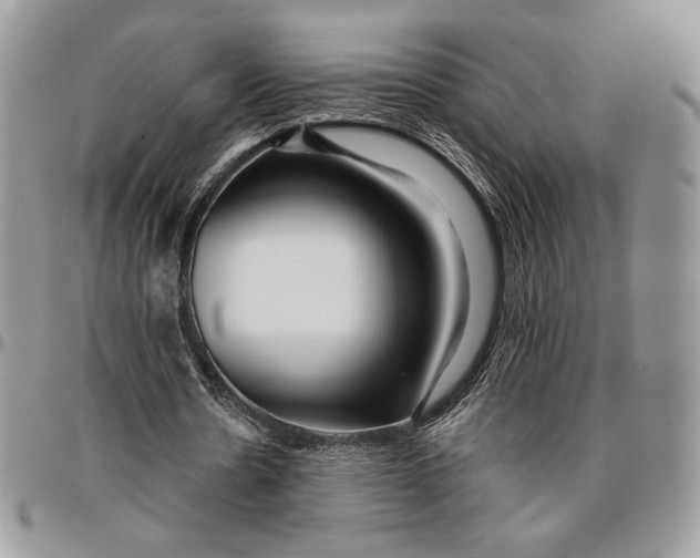 X0000096380530200802141433