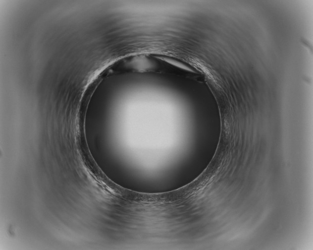 X0000096380532200802141433