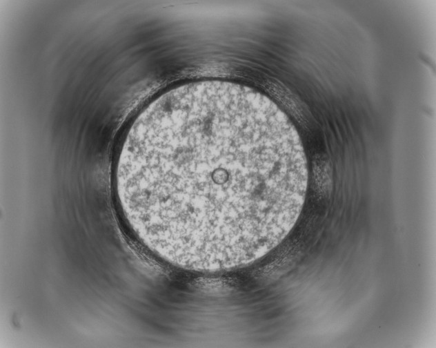 X0000096380534200802141433