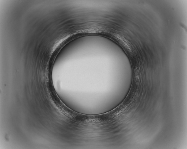 X0000096380536200802141433