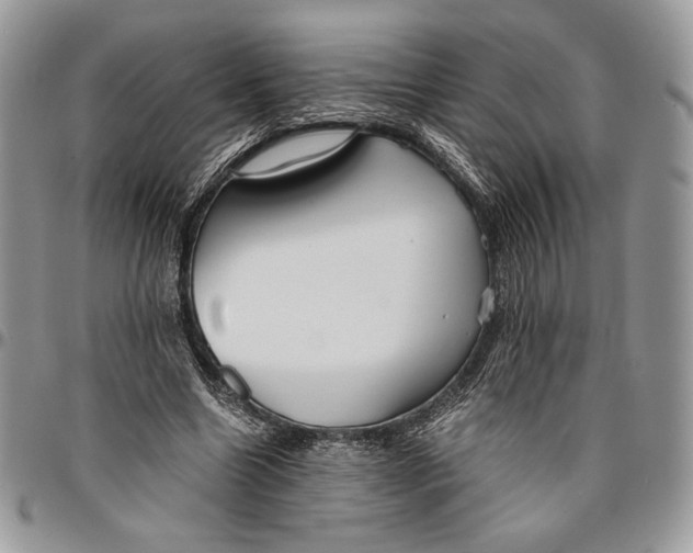 X0000096380538200802141433