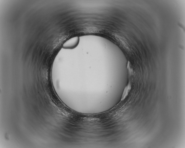 X0000096380539200802141433