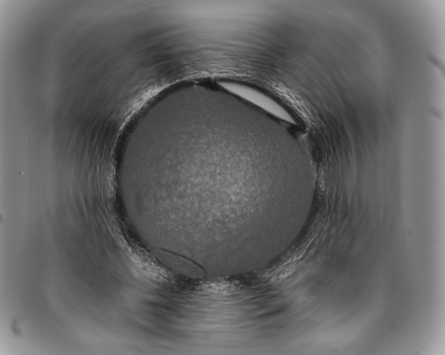 X0000096380540200802141433