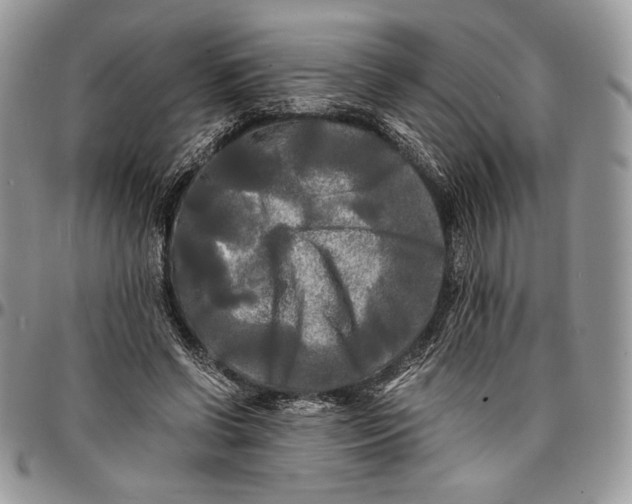 X0000096380542200802141433