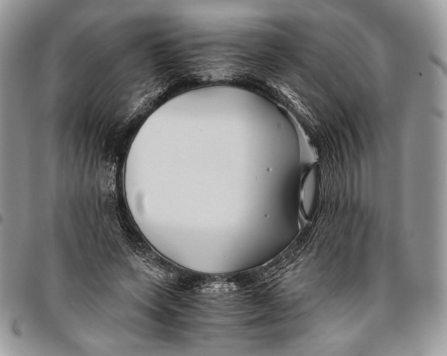 X0000096380543200802141433