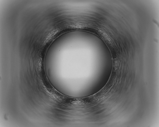 X0000096380544200802141433