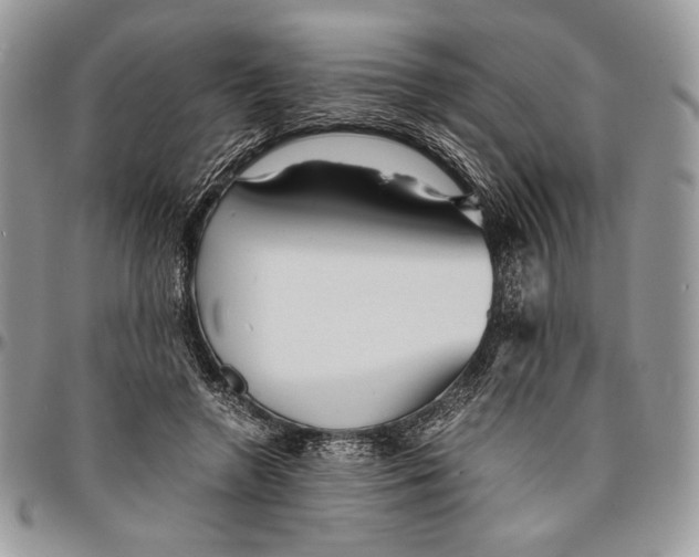 X0000096380546200802141433