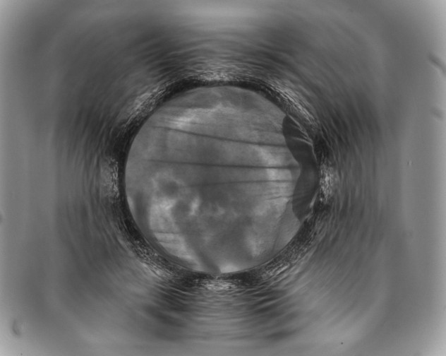 X0000096380547200802141433