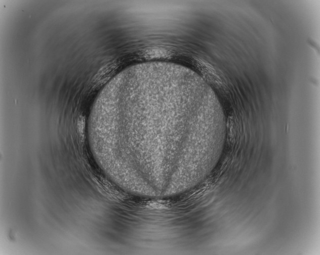 X0000096380550200802141434