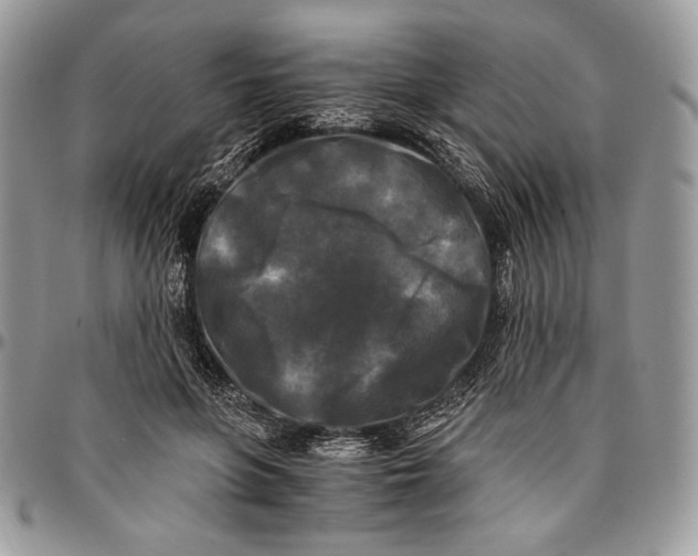 X0000096380551200802141434