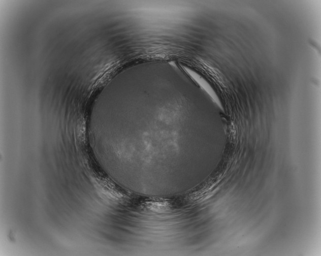 X0000096380552200802141434