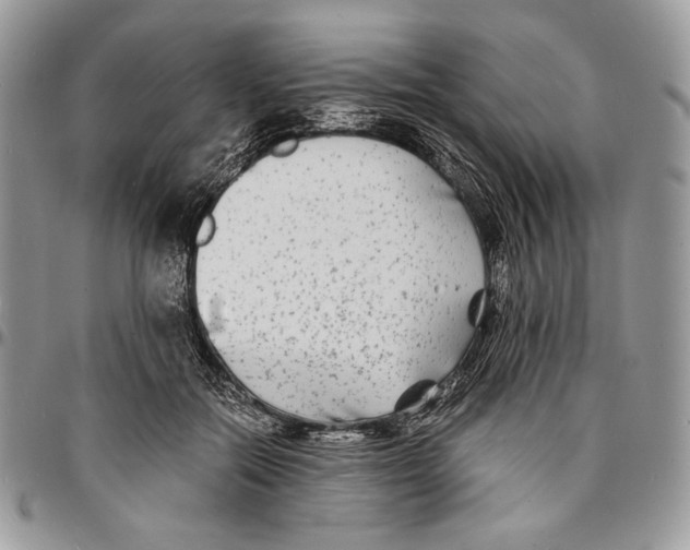 X0000096380554200802141434