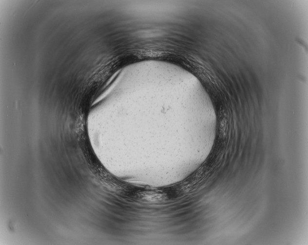 X0000096380555200802141434