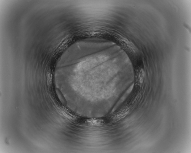 X0000096380558200802141434