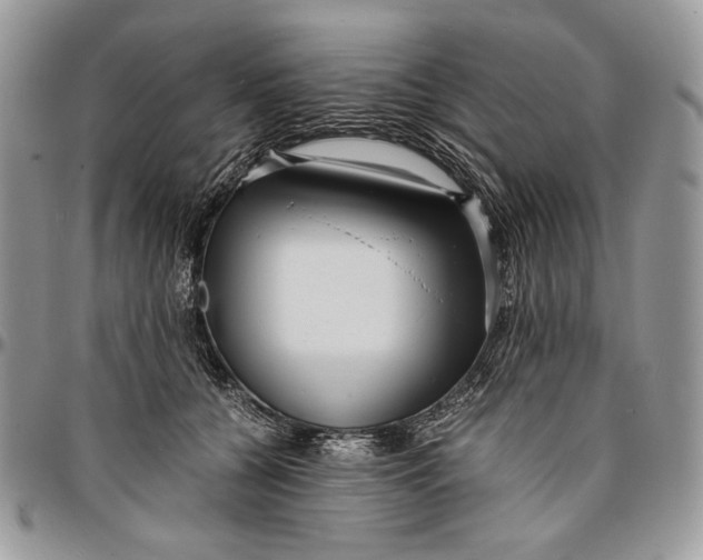 X0000096380560200802141434