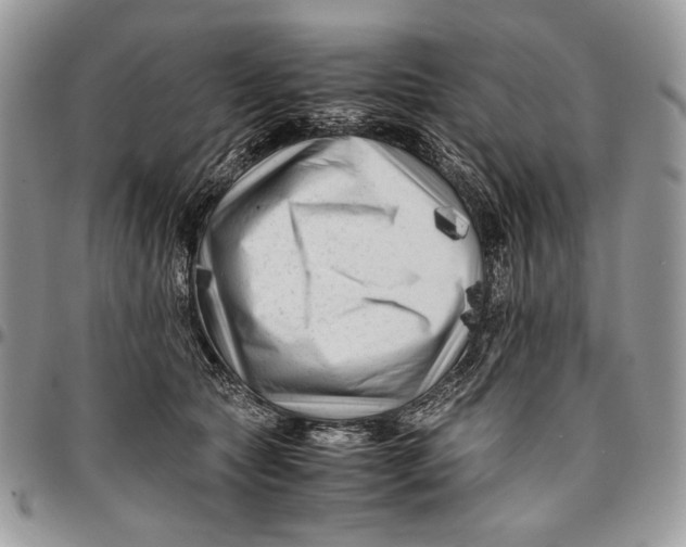 X0000096380561200802141434