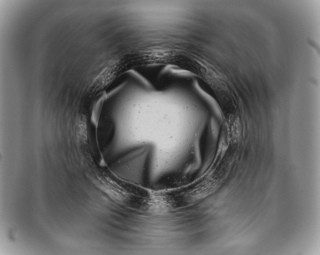 X0000096380562200802141434