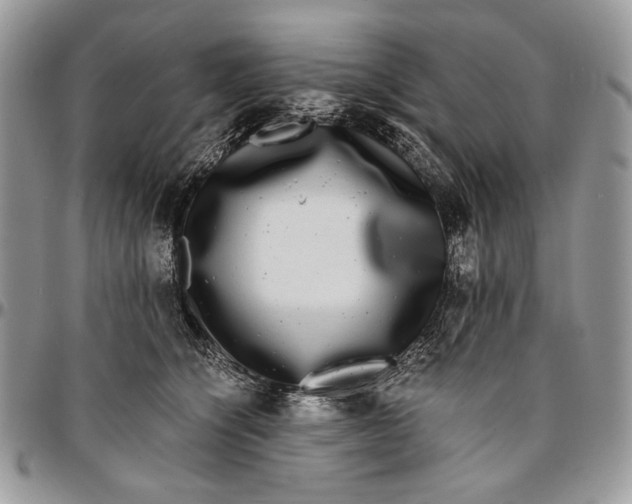 X0000096380564200802141434