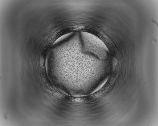 X0000096380565200802141434