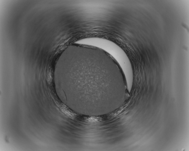 X0000096380566200802141434