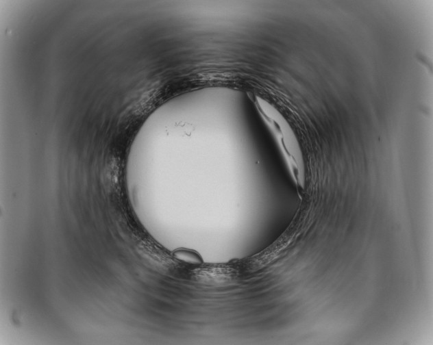 X0000096380567200802141434