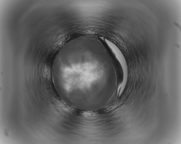 X0000096380568200802141434