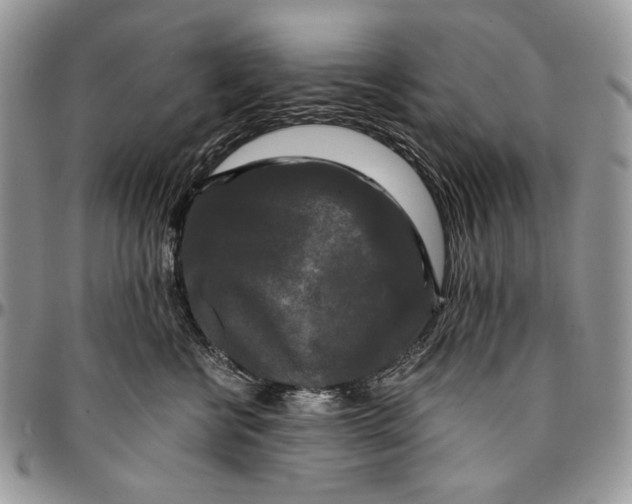 X0000096380570200802141434