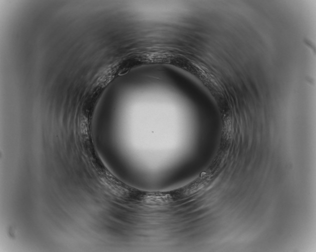 X0000096380571200802141434