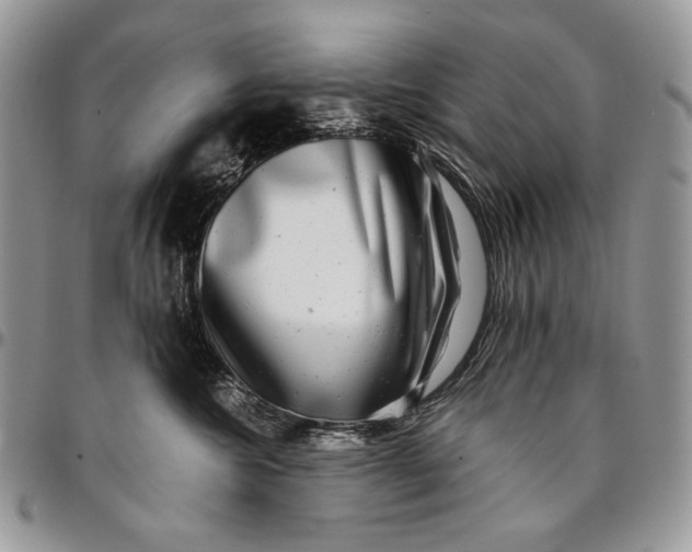 X0000096380572200802141434