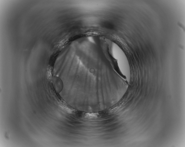 X0000096380573200802141434