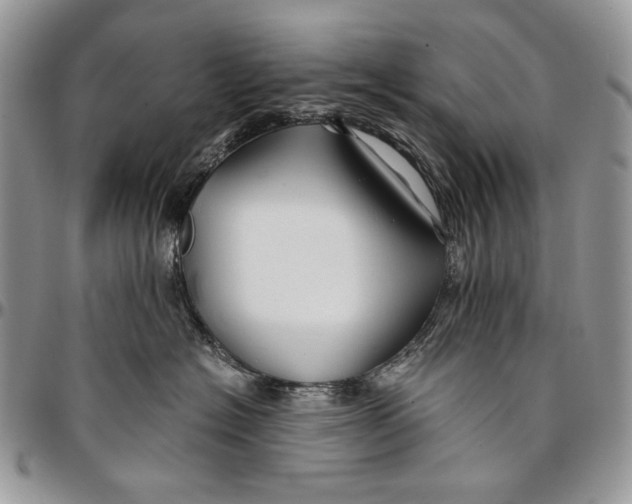 X0000096380574200802141434