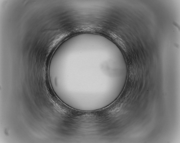 X0000096380578200802141433