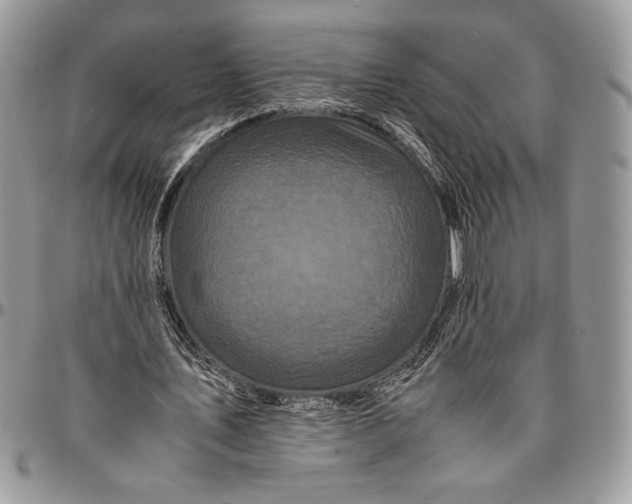 X0000096380579200802141433