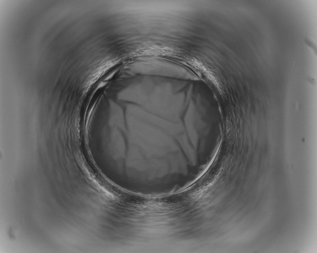 X0000096380581200802141433