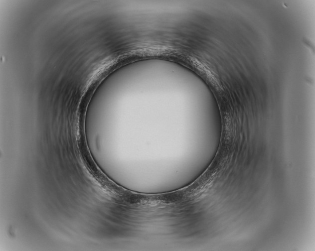 X0000096380582200802141433