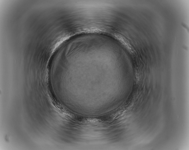 X0000096380583200802141433