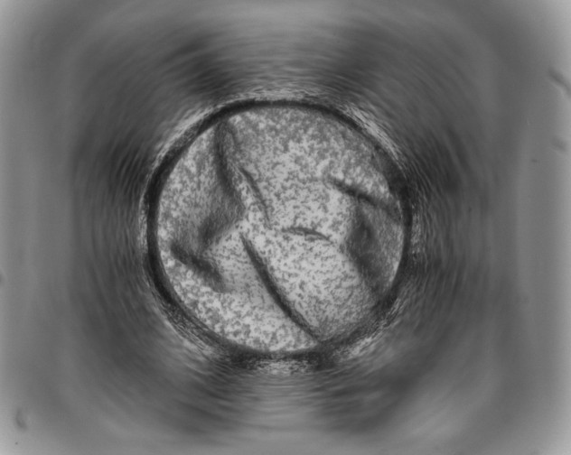 X0000096380584200802141433