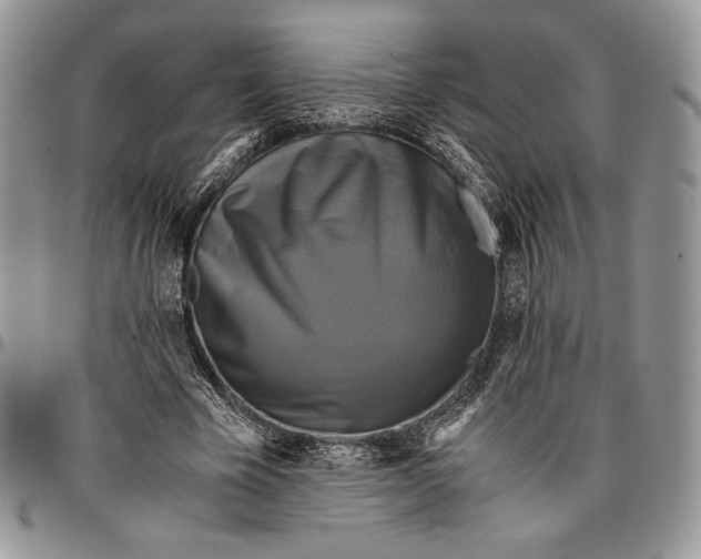 X0000096380585200802141433